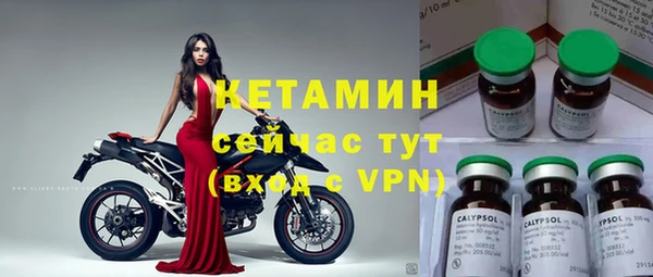 прущие грибы Бронницы