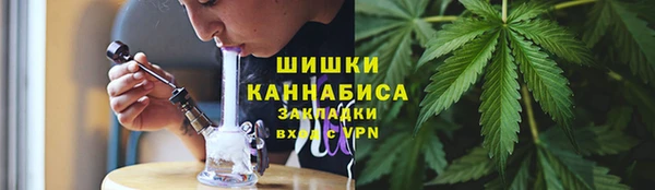 прущие грибы Бронницы