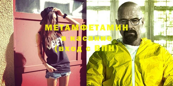 прущие грибы Бронницы