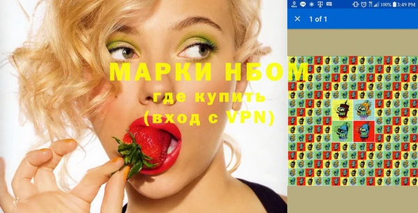 прущие грибы Бронницы