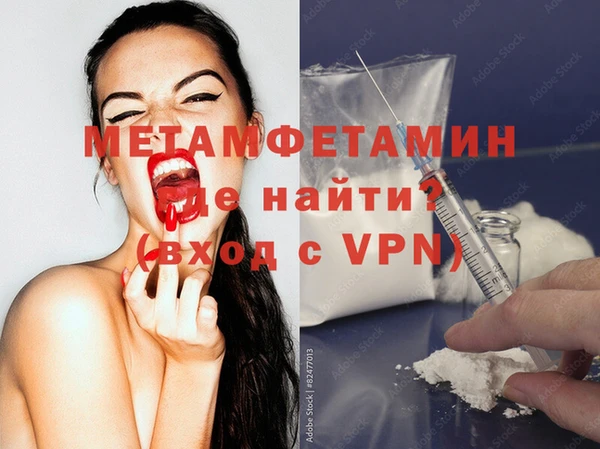 прущие грибы Бронницы