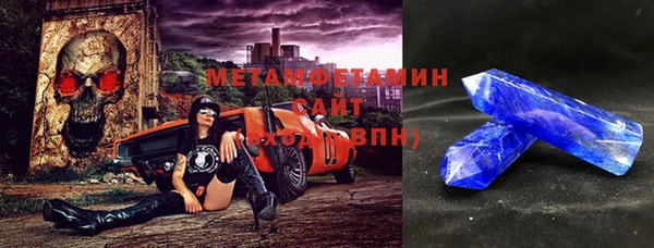 прущие грибы Бронницы
