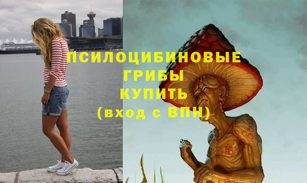 прущие грибы Бронницы