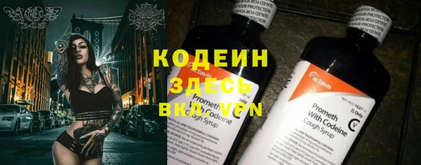 прущие грибы Бронницы