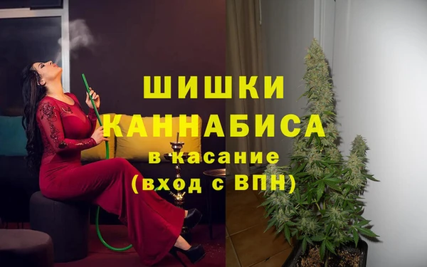 прущие грибы Бронницы