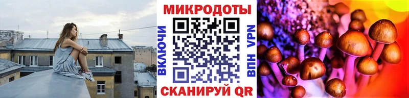 Псилоцибиновые грибы Psilocybine cubensis  наркотики  Эртиль 